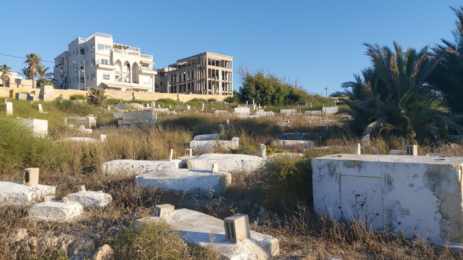 WhatsApp Image 2020-08-17 at 7.30.13 PM (2).jpeg.jpeg